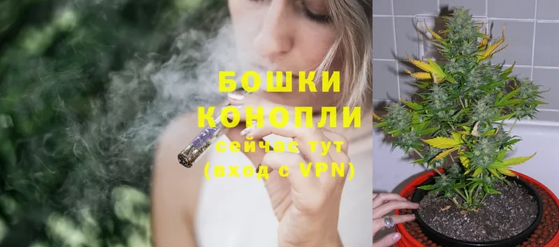 Бошки Шишки LSD WEED  Новозыбков 